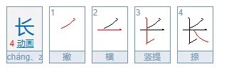 长的笔顺是什么?