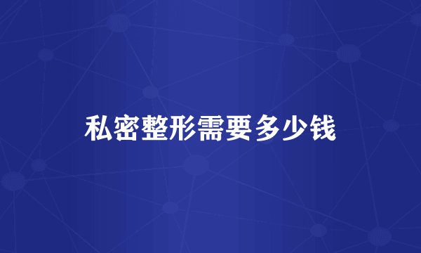 私密整形需要多少钱