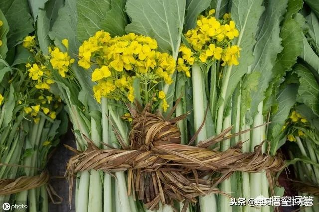 广东菜心怎么吃？