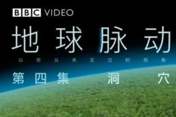 bbc十大经典纪录片都有什么？