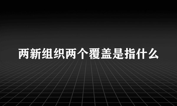 两新组织两个覆盖是指什么