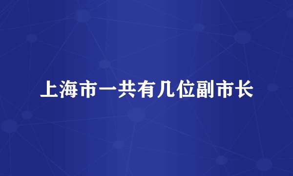 上海市一共有几位副市长