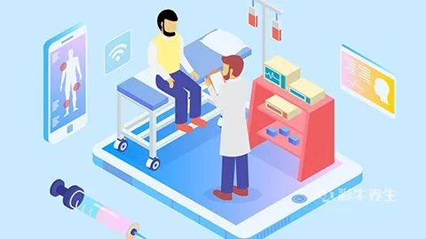 鸡腰子的功效与作用