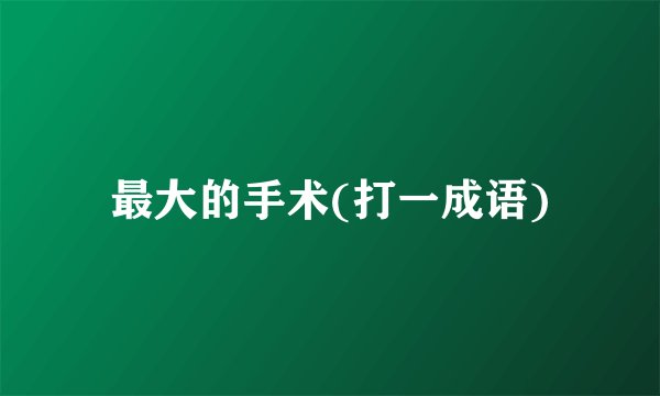 最大的手术(打一成语)
