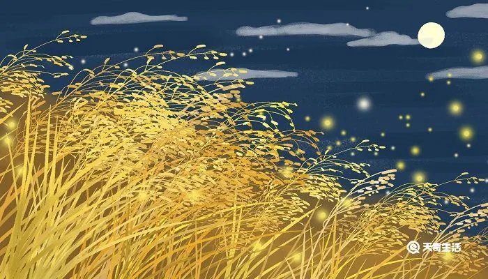 枫桥夜泊题目的意思是什么