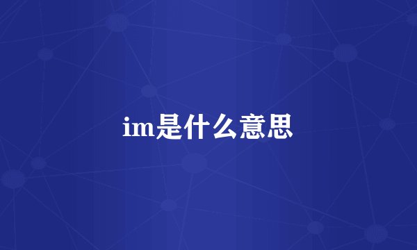 im是什么意思