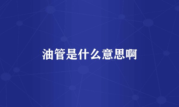 油管是什么意思啊