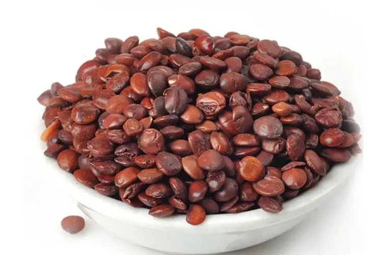 酸枣仁图片大全