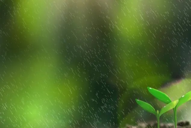 天街小雨润如酥草色遥看近却无描写哪个季节