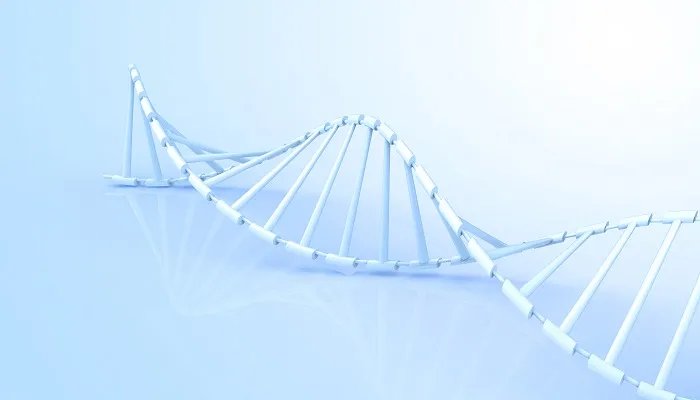 脱氧核糖是什么东西 脱氧核糖是什么