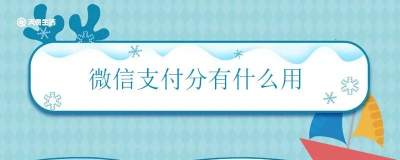 微信支付分有什么用