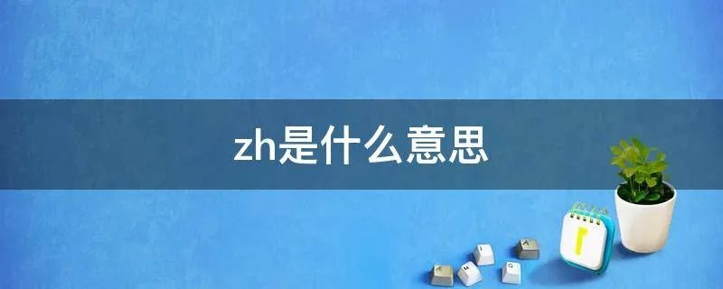 zh是什么意思