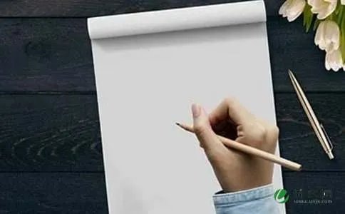 谈社会公德作文