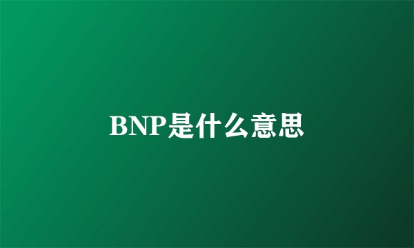 BNP是什么意思