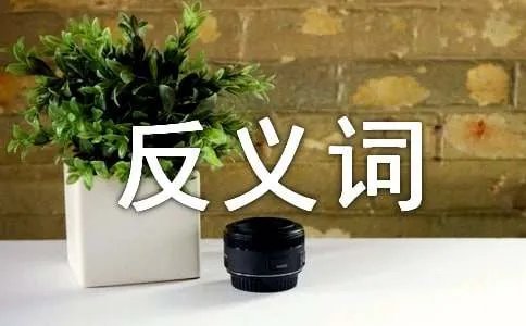 一本正经的反义词