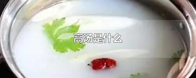 高汤是什么