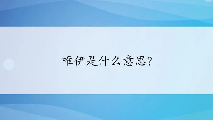 唯伊是什么意思？