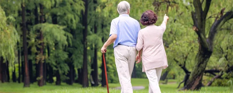 六亲是指哪六亲 常说的六亲是指哪六亲