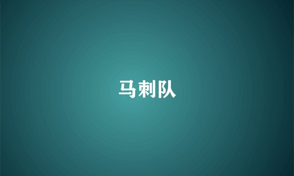 马刺队