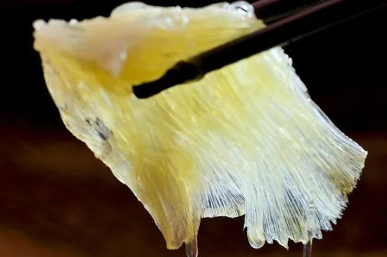 鱼翅是什么