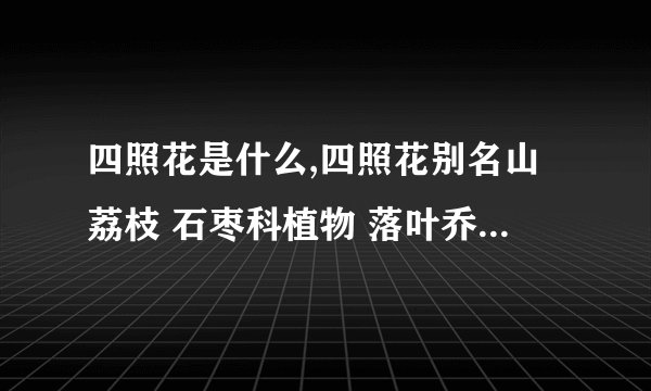 四照花是什么,四照花别名山荔枝 石枣科植物 落叶乔木 原产于东亚