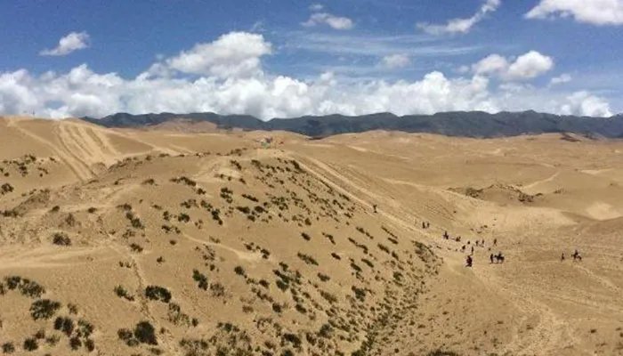 一平方米等于多少公顷