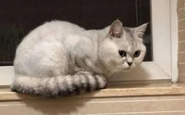 11月6日出生什么命运性格如何 11月6日是什么命