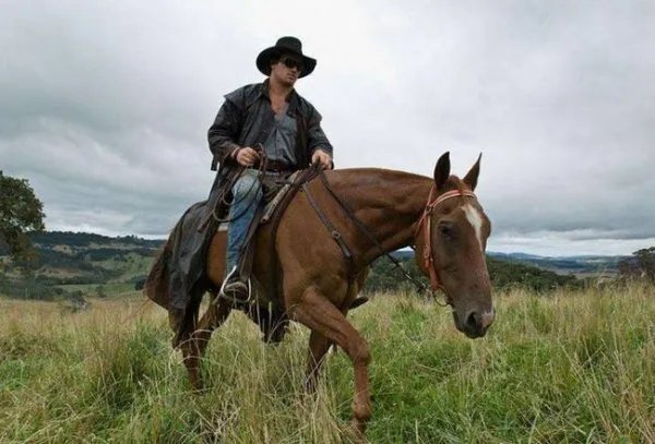 雪天骑马撞人逃逸，我国交通法允许在公路上骑马吗？