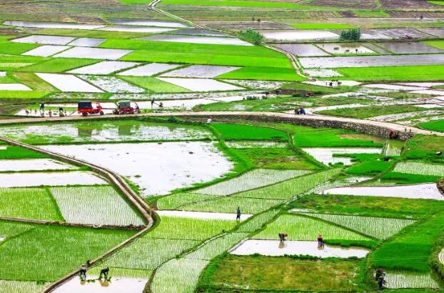 正月十八是什么日子  正月十八是干什么的