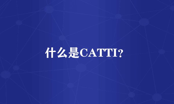 什么是CATTI？