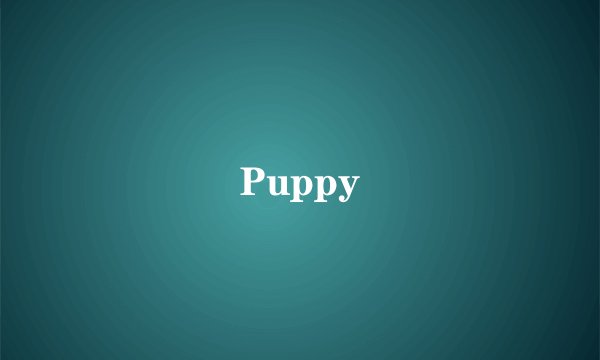 Puppy