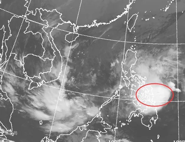 热带低压和台风的区别