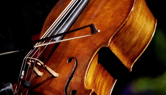 奥尔夫音乐教育有什么特点 奥尔夫音乐教育的三大特点