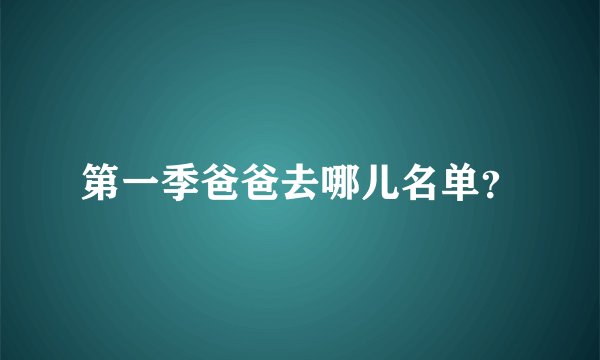 第一季爸爸去哪儿名单？