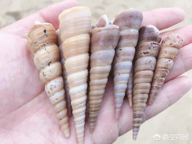 福建最受驴友欢迎的景点有哪些?