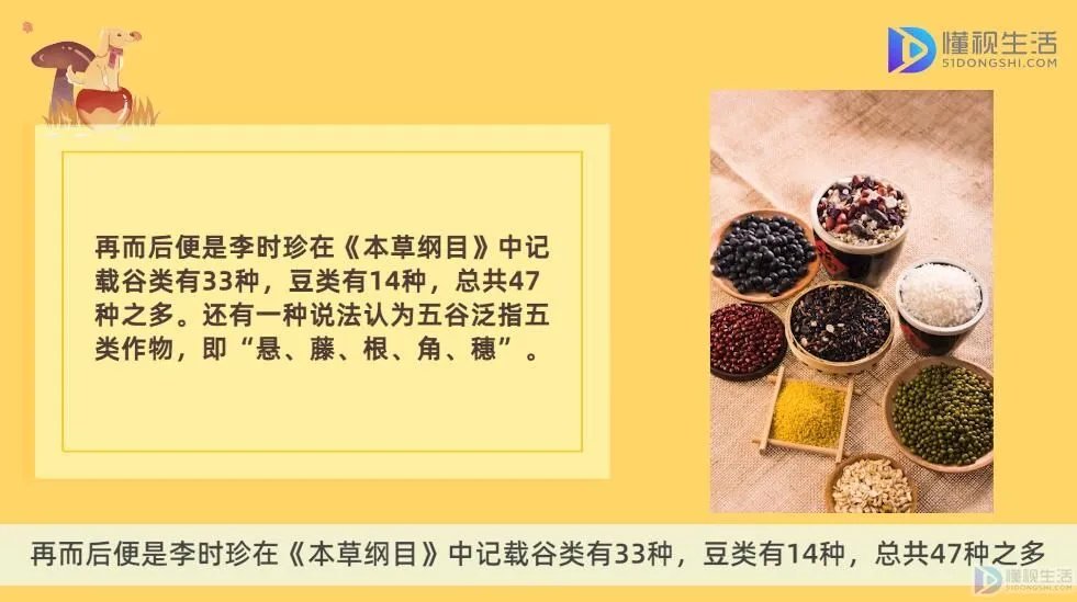 五谷杂粮是哪5种