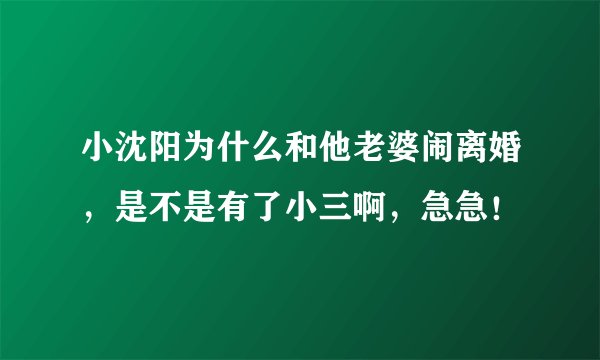 小沈阳为什么和他老婆闹离婚，是不是有了小三啊，急急！