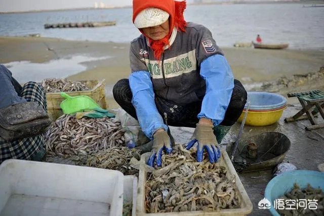 国庆休息这么多天，您会怎么过？