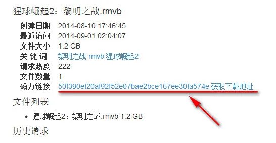 《迅雷》磁力链接的使用方法介绍