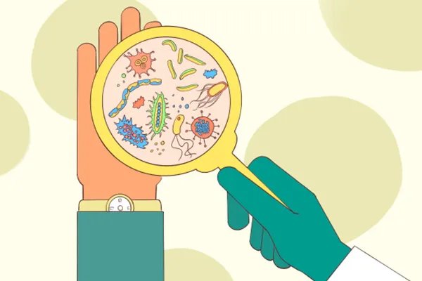 诺如病毒是什么病毒