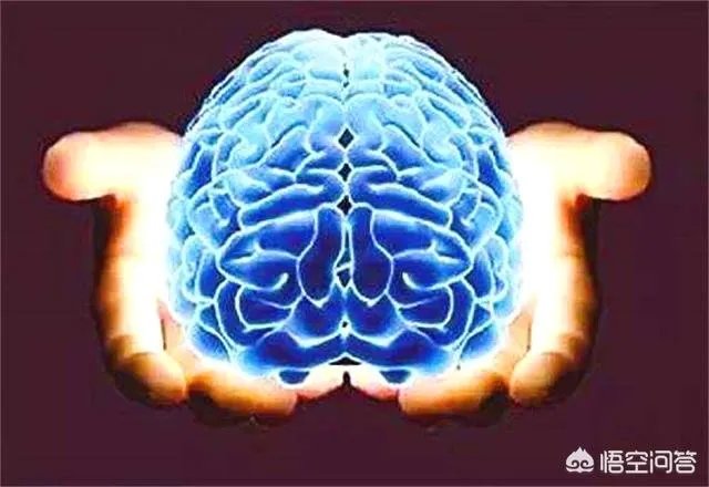 模拟人脑项目失败，如果成功了会怎样？