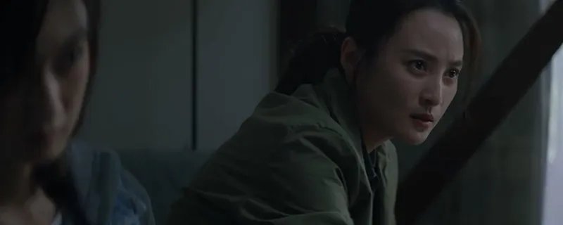 迷雾追踪剧情介绍