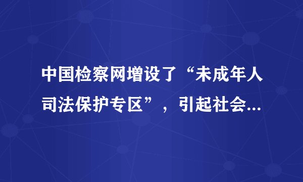 中国检察网增设了“未成年人司法保护专区”，引起社会高度关注，这体现了对未成年人的（　　）A.家庭保护B.学校保护C.社会保护D.司法保护
