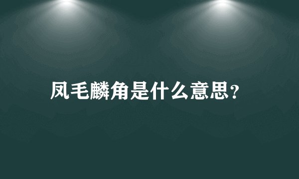 凤毛麟角是什么意思？