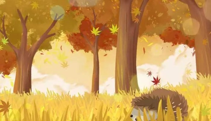 2023年立秋是哪一天 2023立秋是什么时候