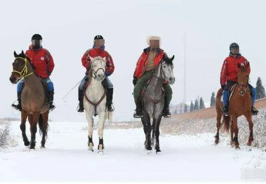 雪天骑马撞人逃逸，我国交通法允许在公路上骑马吗？