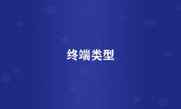 终端类型