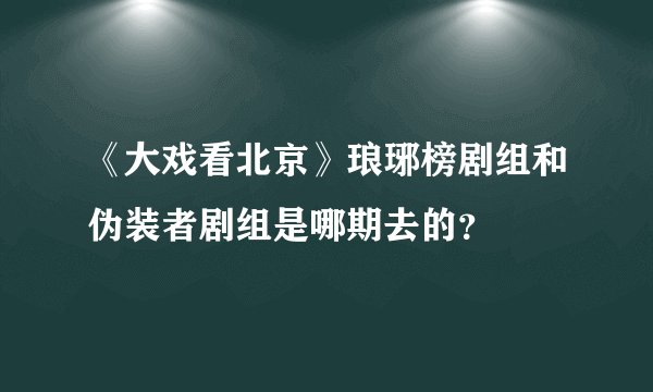 《大戏看北京》琅琊榜剧组和伪装者剧组是哪期去的？