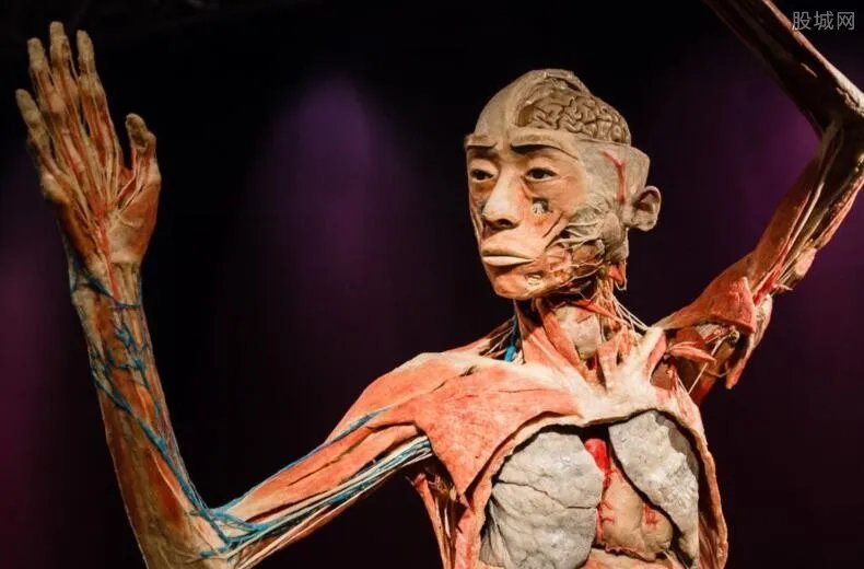 大连尸体工厂：用死囚遗体做人体标本