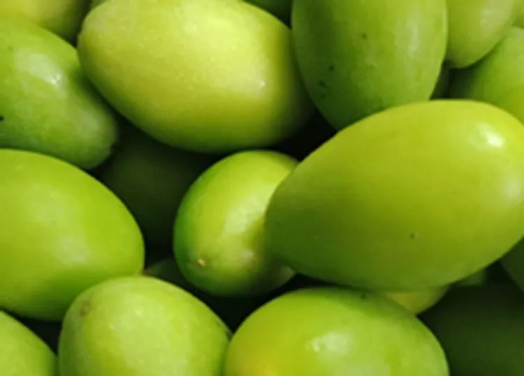 青果的功效与作用